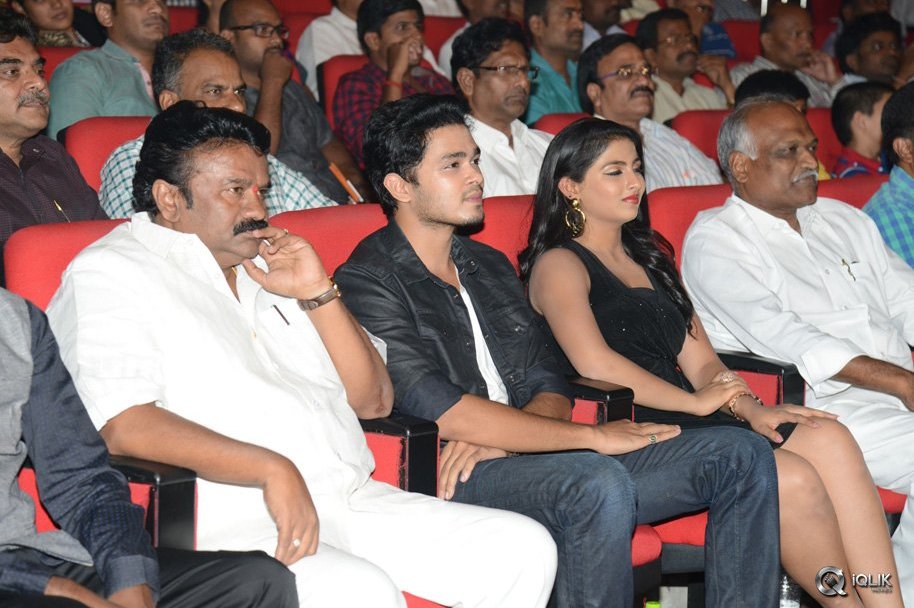 Vinavayya-Ramayya-Movie-Audio-Launch